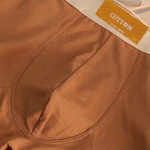 QUẦN LÓT NAM THỜI TRANG TS274F