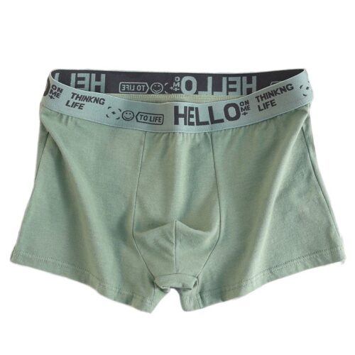 QUẦN LÓT BOXER NAM TS268D